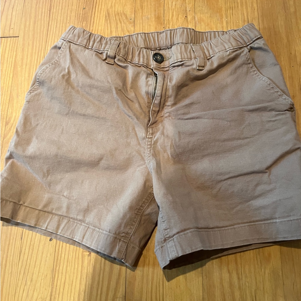 Men’s Chubbies 5.5” Inseam Shorts